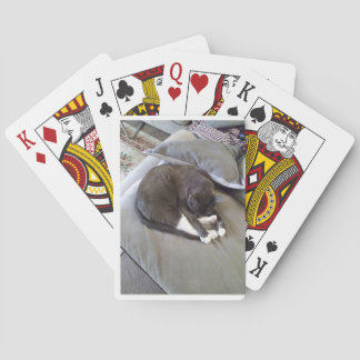 Good Night Sir Poker Cards