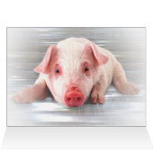 Good Pig Customizable Cards (Inside Horizontal (Top))