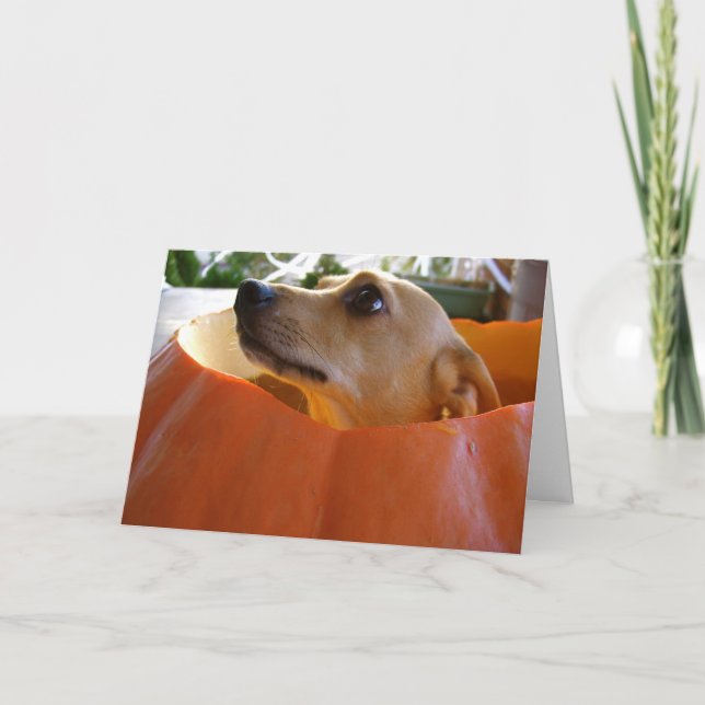 Good Rufus Chihuahua Halloween Pumpkin Card (Front)