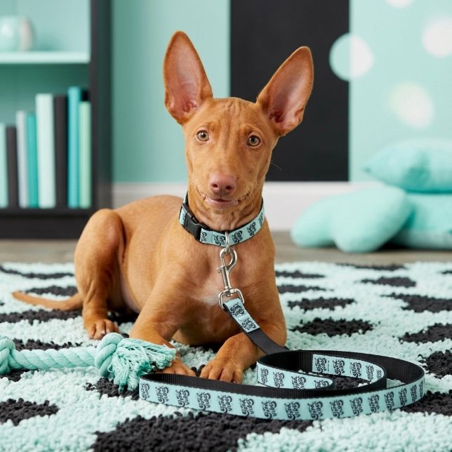 Good Vibes Pet Leash (Creator Uploaded)