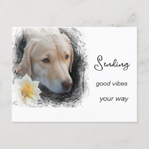 *~ Good Vibes Sad Gold Dog Flower AP61  Postcard