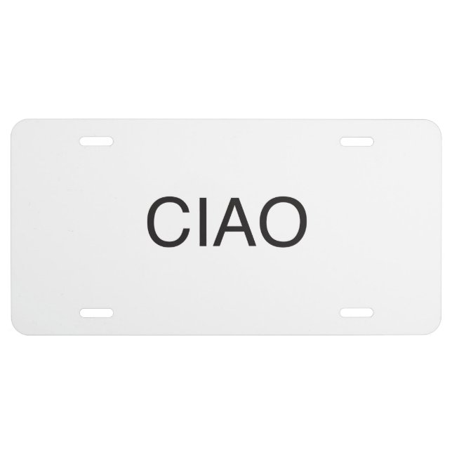 goodbye.ai license plate (Front)