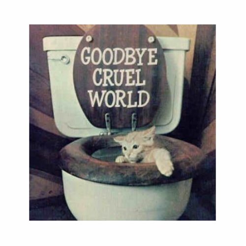 Goodbye Cruel World Statuette
