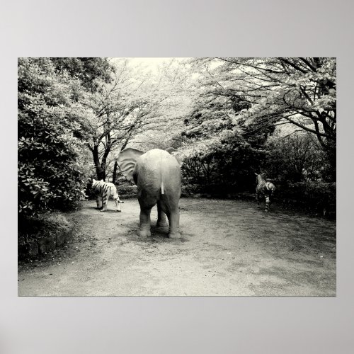 Goodbye Elephant Tiger and Zebra Poster