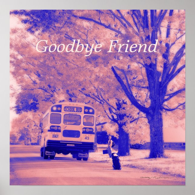 Goodbye Friend Value Poster Paper (Matte) (Front)