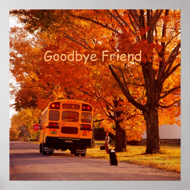 Goodbye Friend Value Poster Paper (Matte) (Front)