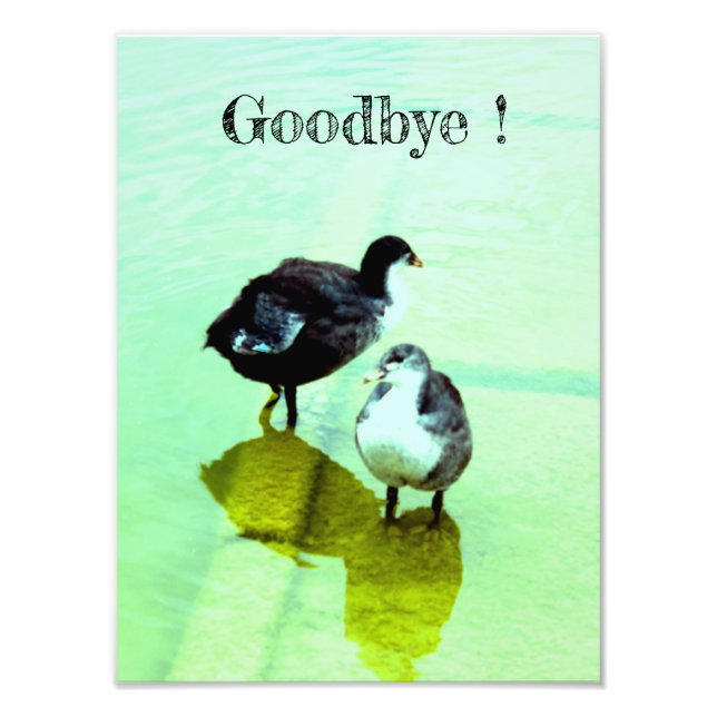 goodbye photo print (Front)