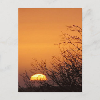 Goodbye to Another Day Sunset Postcard