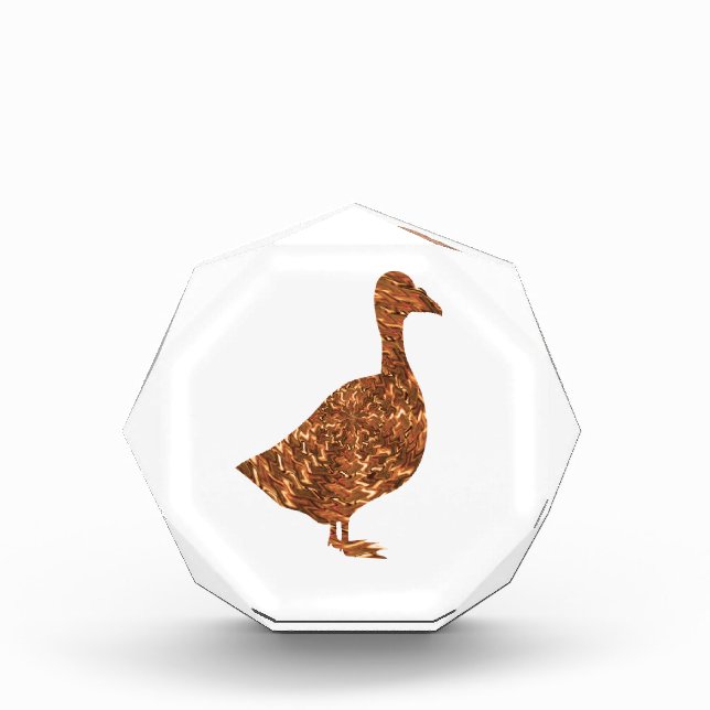 GoodLuck Symbols:  Golden Geese Goose own one Award (Front)