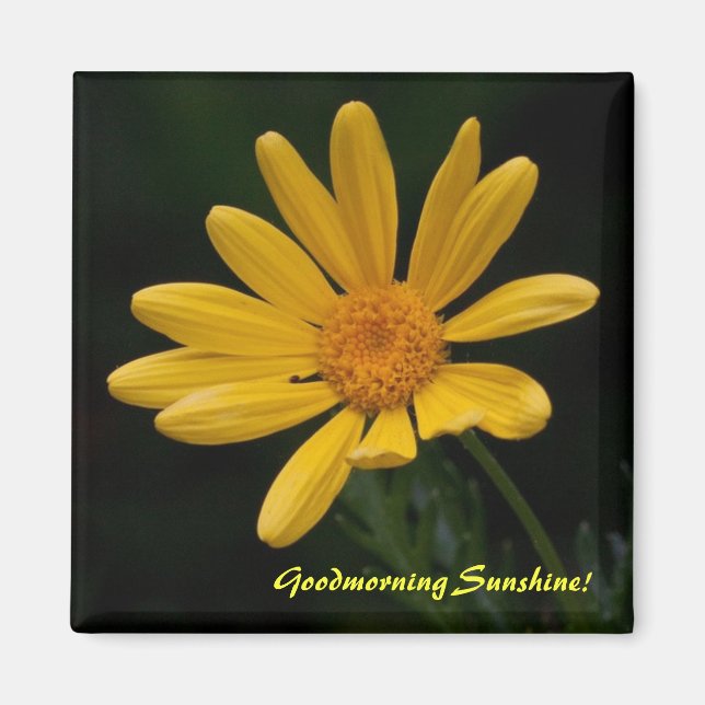 Goodmorning Sunshine Magnet (Front)