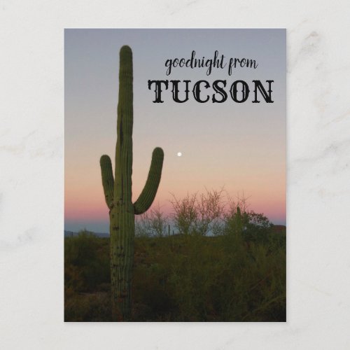 Goodnight from Tucson Saguaro Sunset Postcard