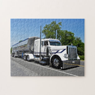 Good's White 379 Puzzle