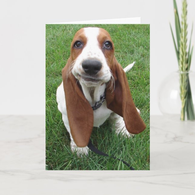 Goofy Basset Hound Greeting Card (Front)