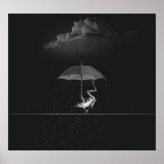 Goofy Black and White Frog with Umbrella in Rain Poster (Front)