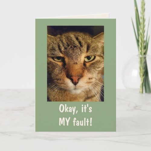 Goofy Cat Its My Fault Apology Card