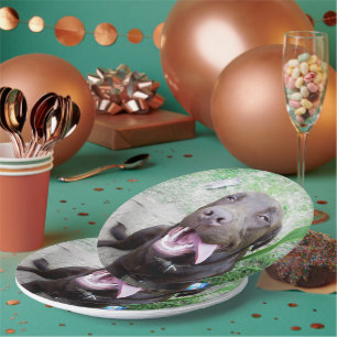 Goofy Delights: Chocolate Brown Labrador Puppy, Paper Plates