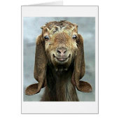 GOOFY GOAT SAYS YOU "50" LOOKS "GOOD ON YOU!" (Front)