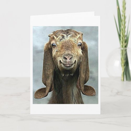 GOOFY GOAT SAYS YOUR BIRTHDAY LOOKS GOOD ON  YOU CARD
