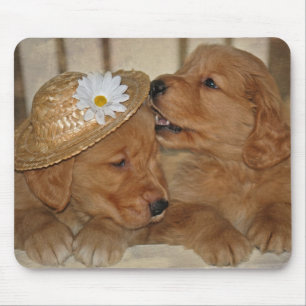 Goofy Golden Retriever Puppies Mouse Pad