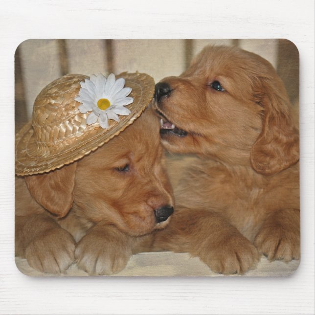 Goofy Golden Retriever Puppies Mouse Pad (Front)