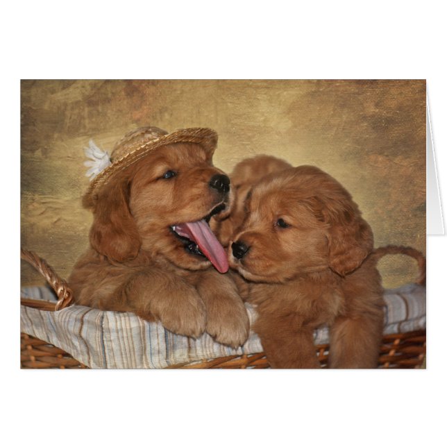 Goofy Golden Retrievers Cards (Front Horizontal)