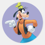 Goofy