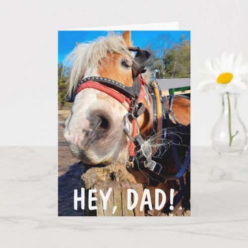 Goofy Horse Funny Fathers Day Card
