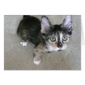 goofy kitten blank notes (Front Horizontal)