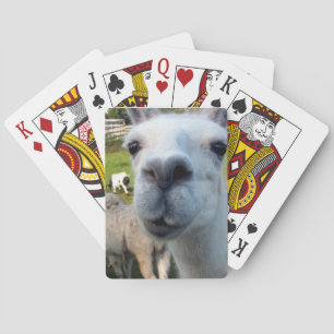 Goofy Llama Playing Cards