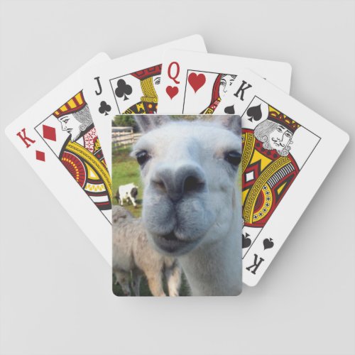 Goofy Llama Playing Cards
