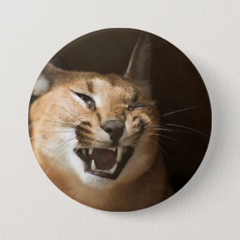 Goofy Lynx Button by CustomizeYourWorld at Zazzle