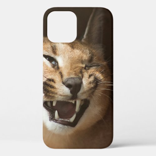 Goofy Lynx iPhone 12 Case