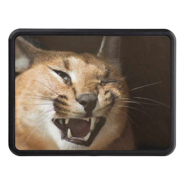 Goofy Lynx Hitch Cover (Front)
