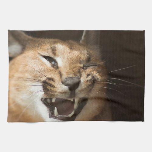 Goofy Lynx Kitchen Towel