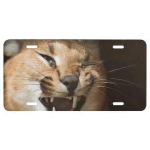 Goofy Lynx License Plate