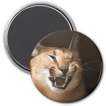 Goofy Lynx Magnet by CustomizeYourWorld at Zazzle
