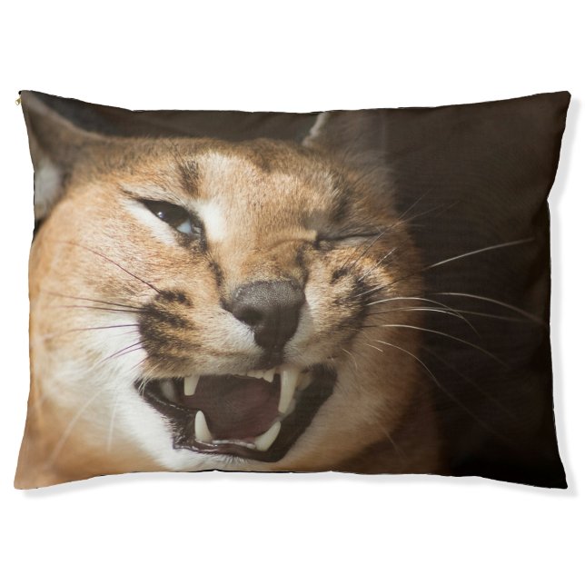 Goofy Lynx Pet Bed (Front)