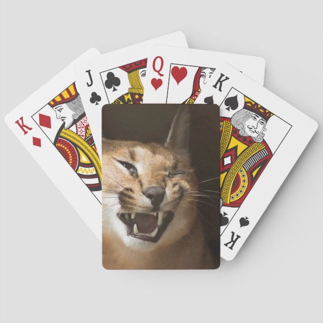 Goofy Lynx Poker Cards (Back)