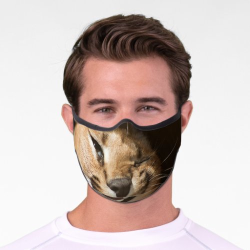 Goofy Lynx Premium Face Mask