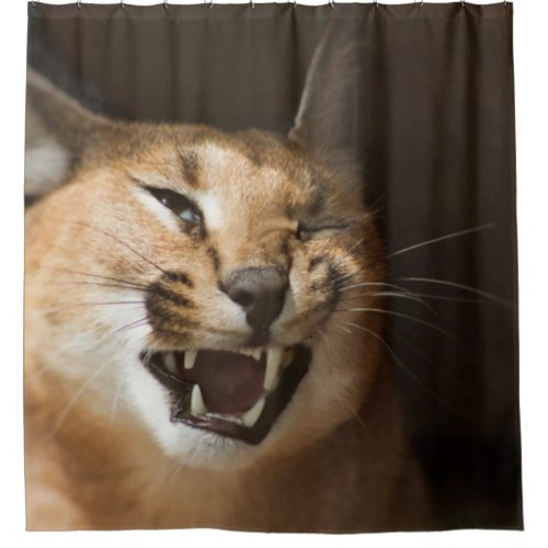 Goofy Lynx Shower Curtain