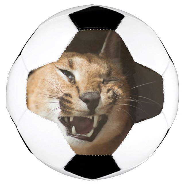 Goofy Lynx Soccer Ball (Front)