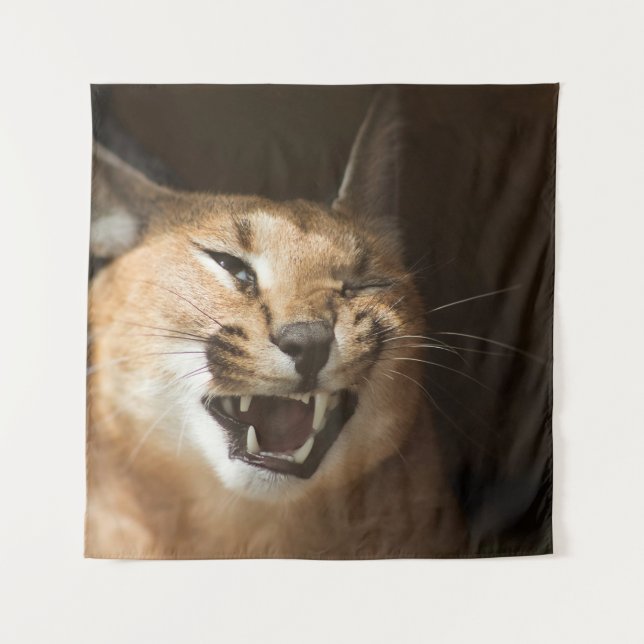 Goofy Lynx Tapestry (Front)