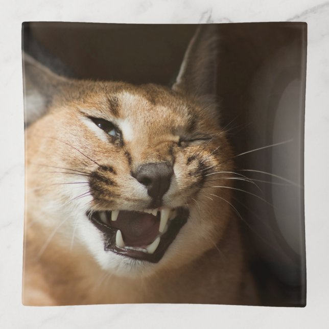 Goofy Lynx Trinket Tray (Front)