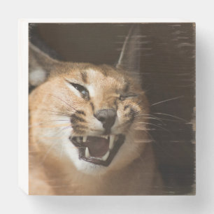 Goofy Lynx Wooden Box Sign