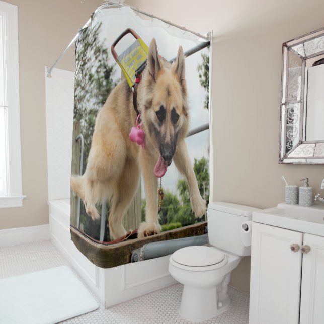 Goofy Shower Curtain (In Situ)