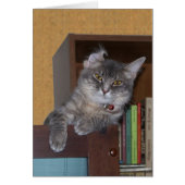 Goofy Xena card (Front)