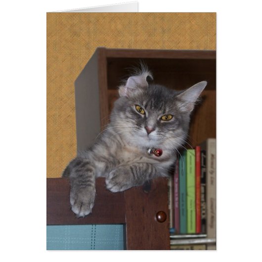 Goofy Xena card (Front)