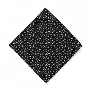 Googly Eyes Whimsical Storybook Pocket Square Bandana
