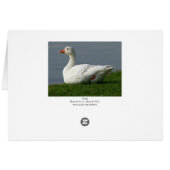 Goose (Back Horizontal)