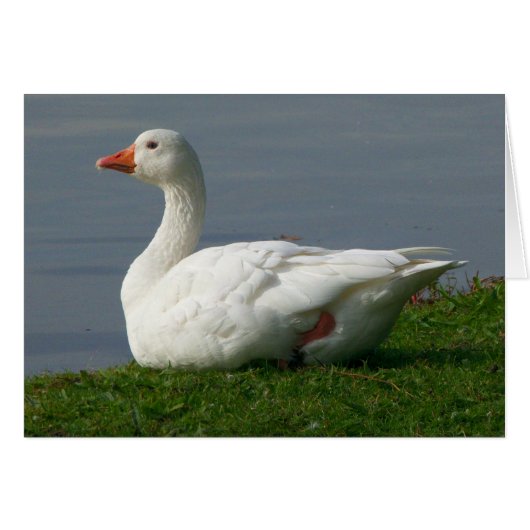 Goose (Front Horizontal)